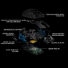 Imagem de MOUSE SEM FIO PARA JOGOS G PRO LOGITECH